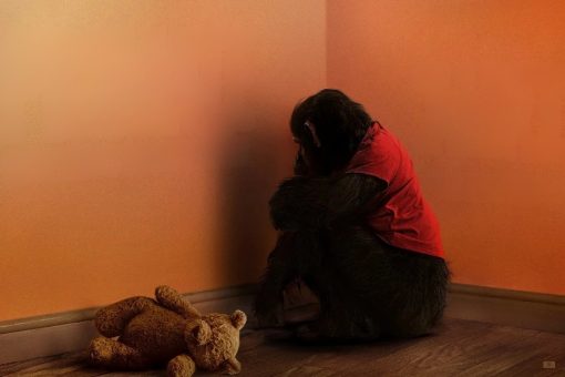 ‘Primate’ el terror animal más salvaje se desata en cines (2)