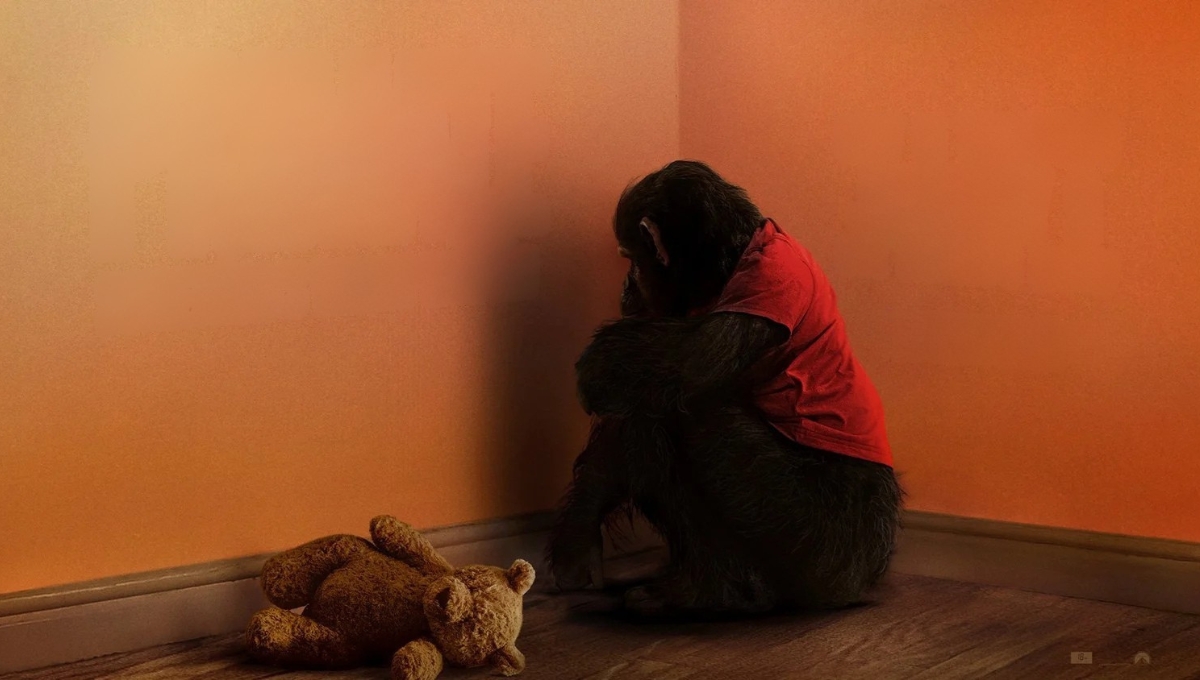 ‘Primate’ el terror animal más salvaje se desata en cines (2)