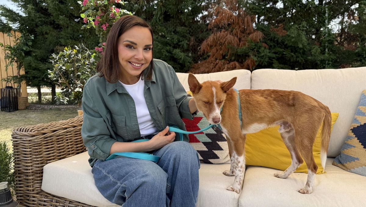 'Dog House' lidera el prime time y La 1 vuelve a imponerse a Antena 3 y Telecinco